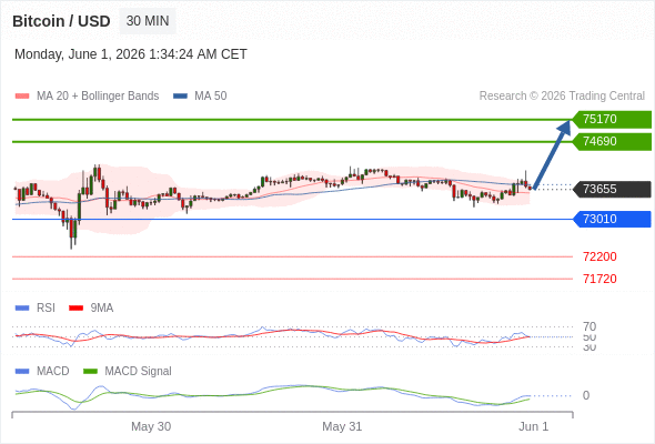 Analyst Views Chart