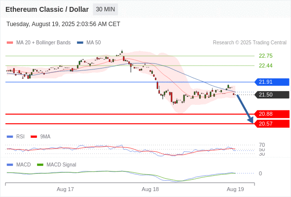 Analyst Views Chart